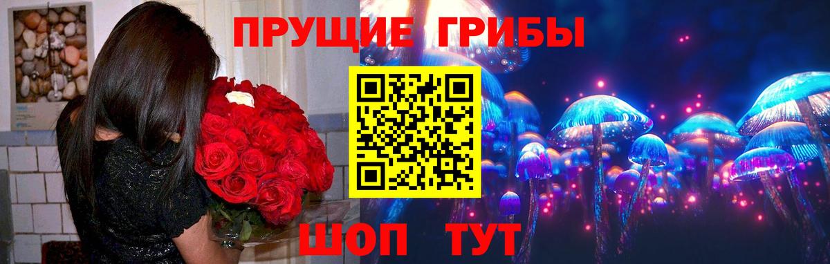 Галлюциногенные грибы Psilocybine cubensis  Вход с VPN  Лабытнанги 